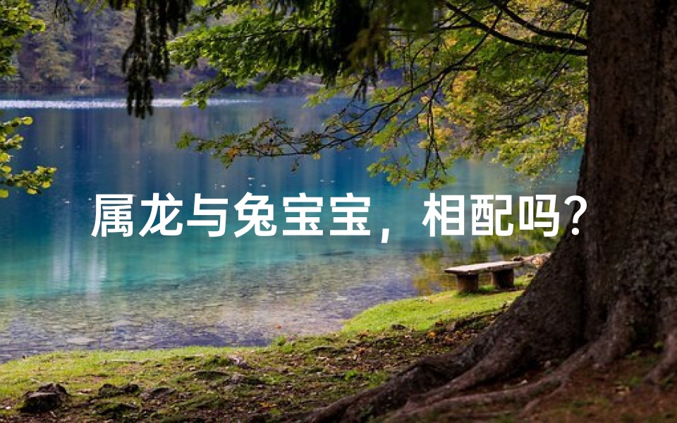 属龙与兔宝宝，相配吗？