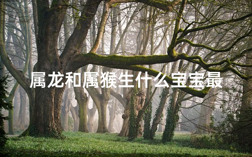 属龙和属猴生什么宝宝最好、龙猴结合喜得金兔宝
