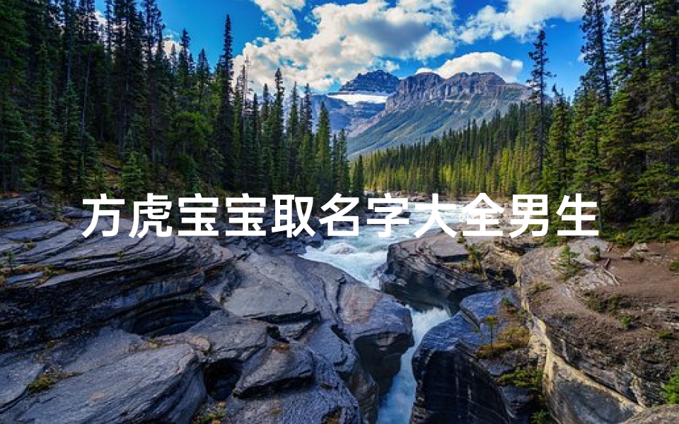 方虎宝宝取名字大全男生(有深度的建材店名字)