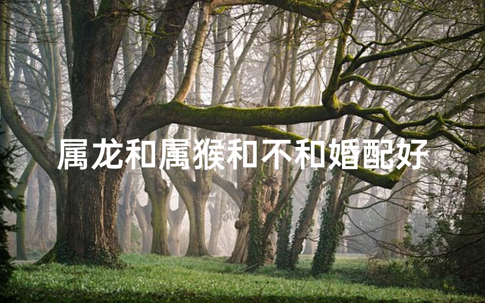 属龙和属猴和不和婚配好;属龙属猴婚配佳缘：和谐共舞，幸福长久