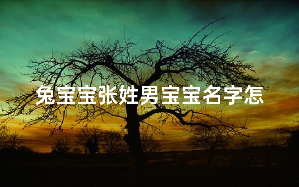 兔宝宝张姓男宝宝名字怎么取(2021年张宝宝男孩取什么名字好)