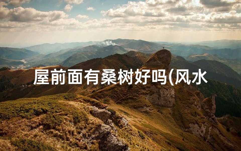 屋前面有桑树好吗(风水之谜：屋前栽桑树，吉凶如何？)
