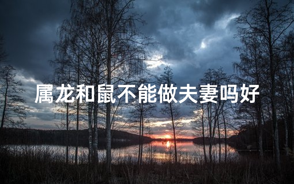 属龙和鼠不能做夫妻吗好吗—属龙鼠配对禁忌：婚姻能否美满？