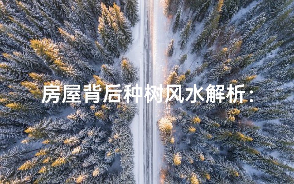 房屋背后种树风水解析：宜还是不宜？