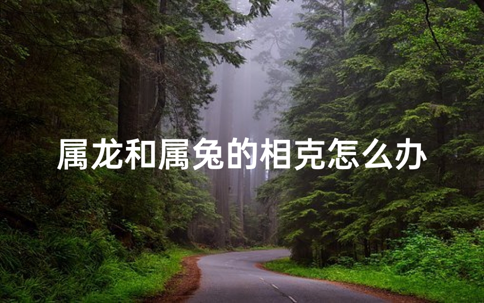 属龙和属兔的相克怎么办