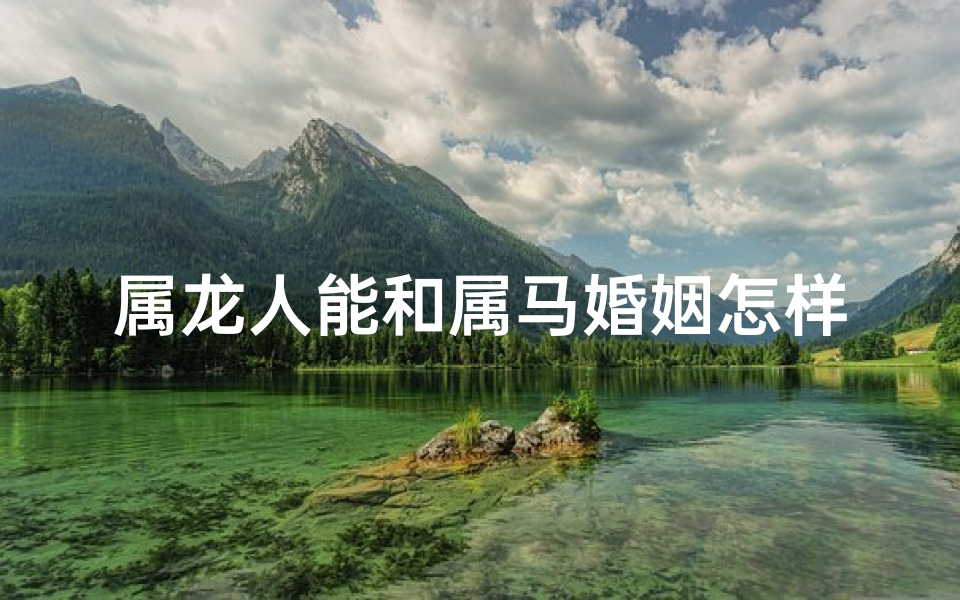 属龙人能和属马婚姻怎样_属龙与属马：婚姻相配的奇妙组合