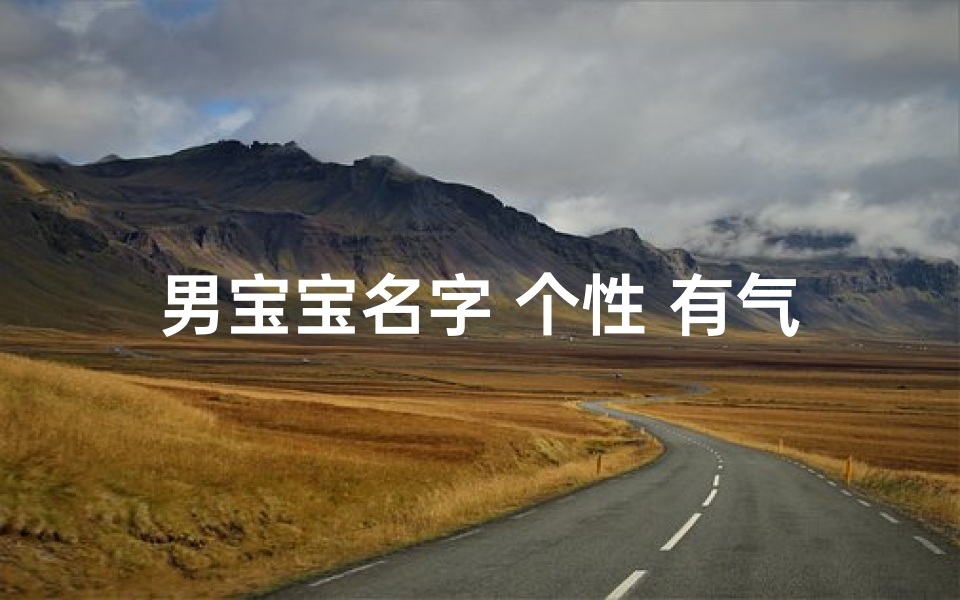 男宝宝名字 个性 有气质—《男宝宝姓氏取名大全集：精选百名佳名》