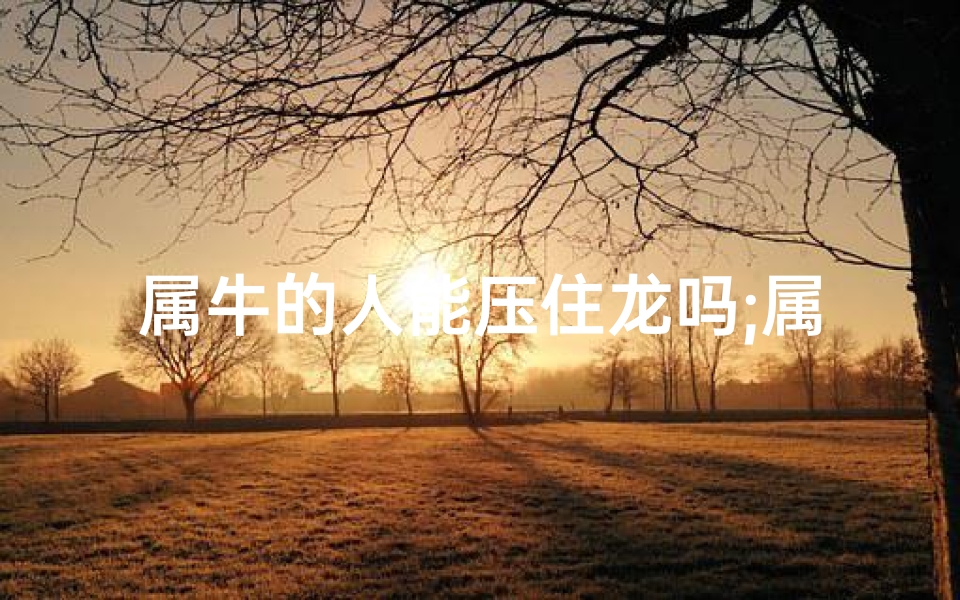 属牛的人能压住龙吗;属牛可以吗