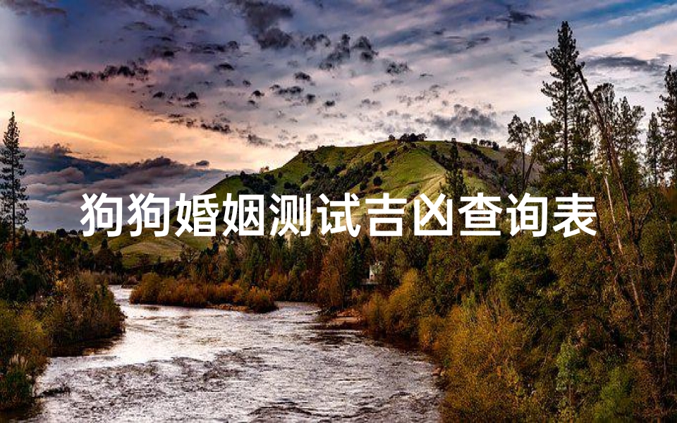 狗狗婚姻测试吉凶查询表最新,《狗狗婚姻吉凶一测便知，幸福指数大揭秘》