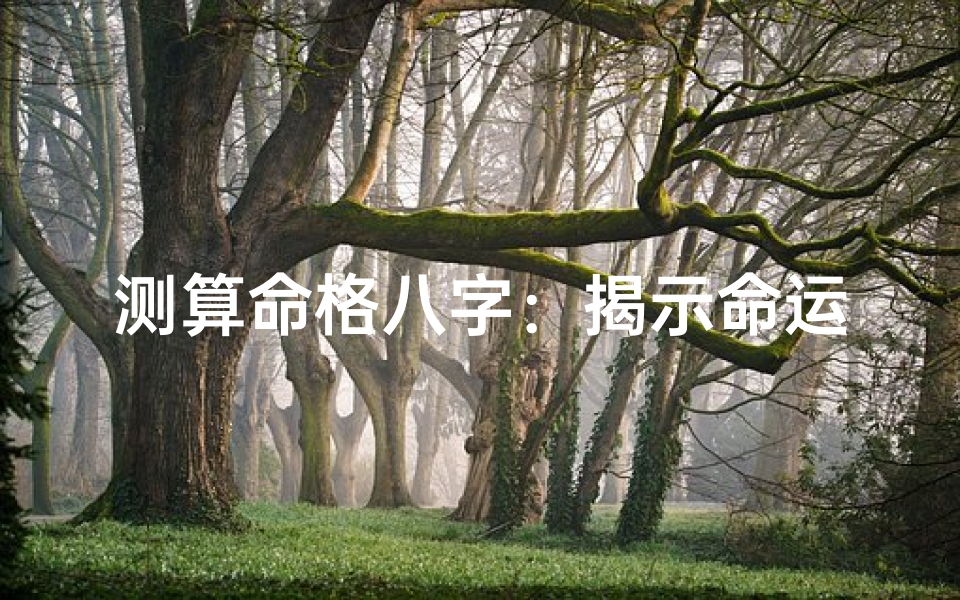 测算命格八字：揭示命运密码，解码人生轨迹