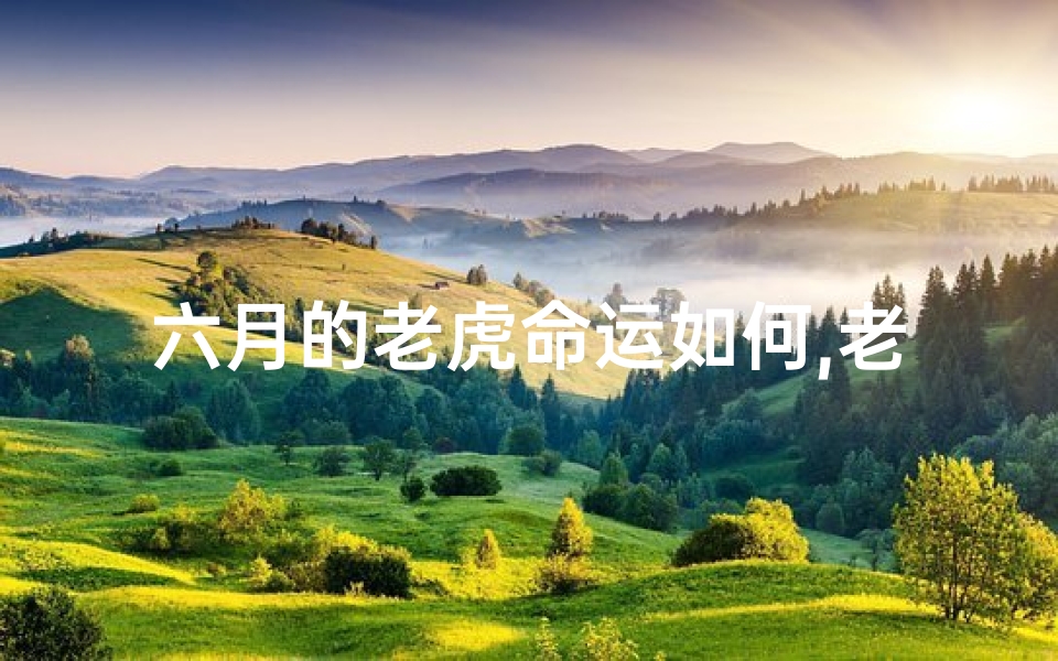 六月的老虎命运如何,老虎六月出生命运如何？揭秘生肖运势之谜