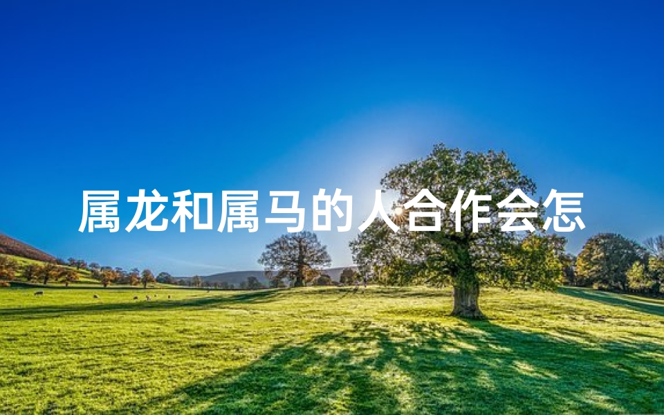 属龙和属马的人合作会怎么样_龙马情深，友谊同行：属龙属马共谱新篇
