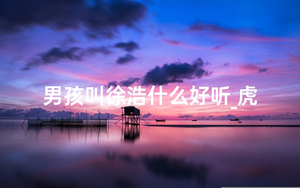 男孩叫徐浩什么好听_虎宝宝徐浩瑞：取名之道，智慧与吉祥同行