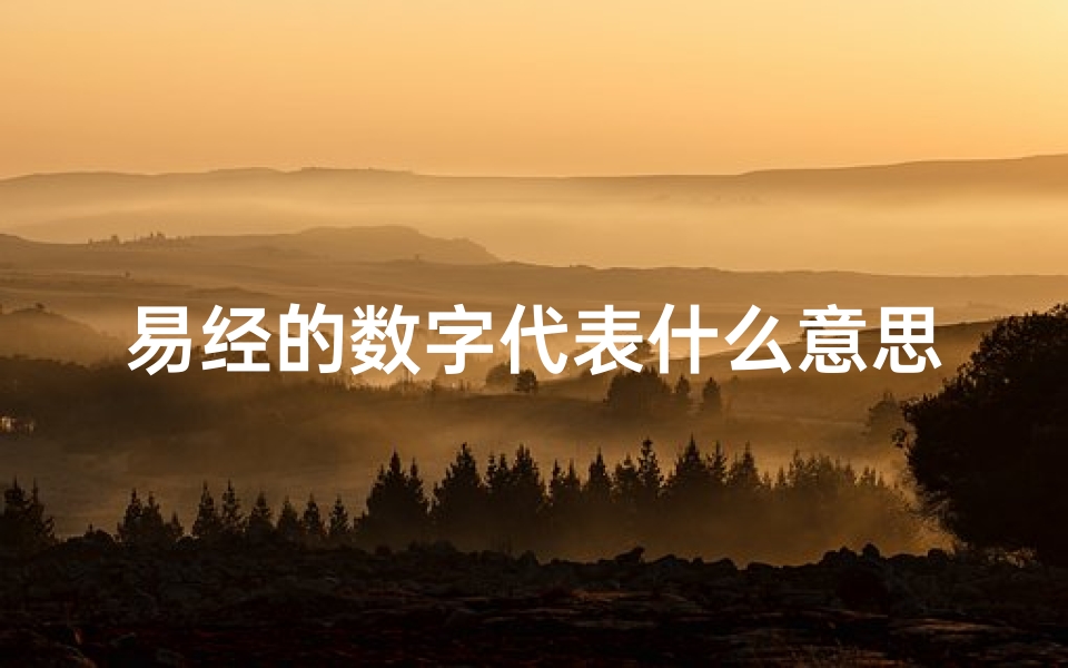 易经的数字代表什么意思、《易经探源：数字吉凶的奥秘解析》