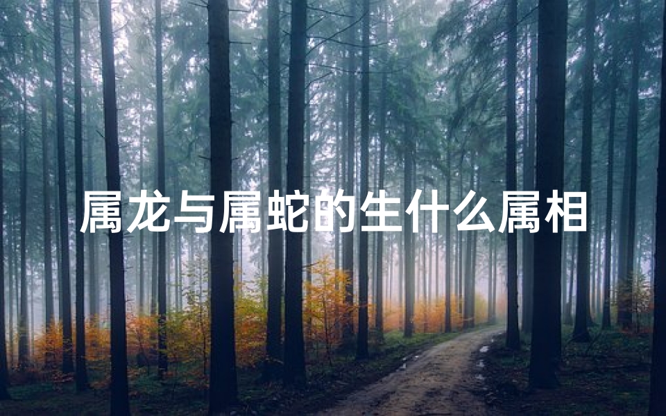属龙与属蛇的生什么属相的宝宝最好,龙蛇猴宝聚首，欢乐满人间