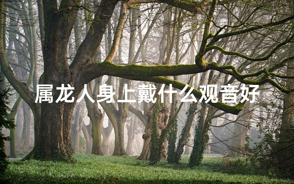 属龙人身上戴什么观音好