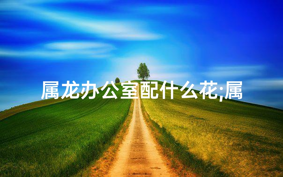 属龙办公室配什么花;属龙的办公室用什么花