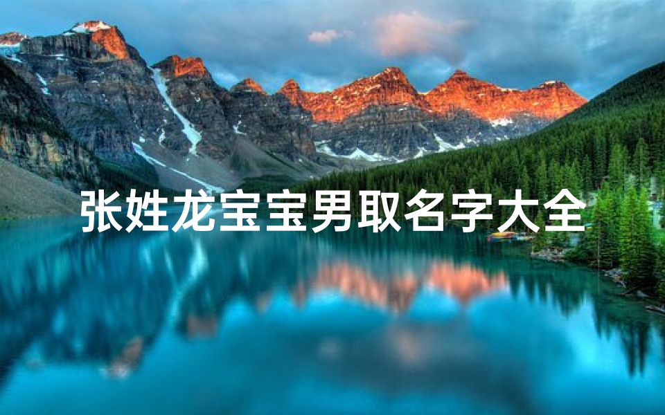 张姓龙宝宝男取名字大全