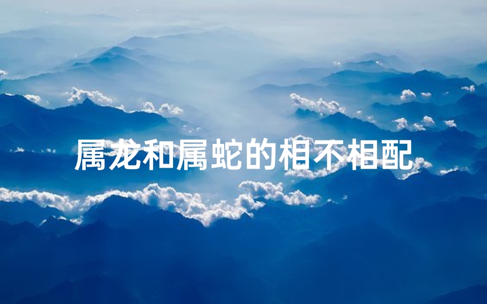 属龙和属蛇的相不相配