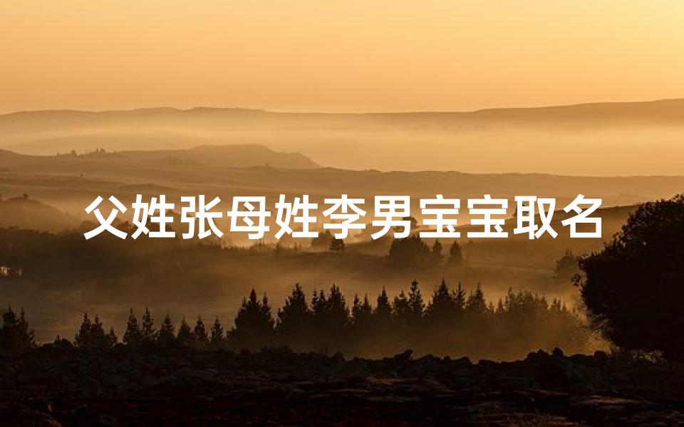 父姓张母姓李男宝宝取名张李源-父亲姓张母亲姓李起名男孩