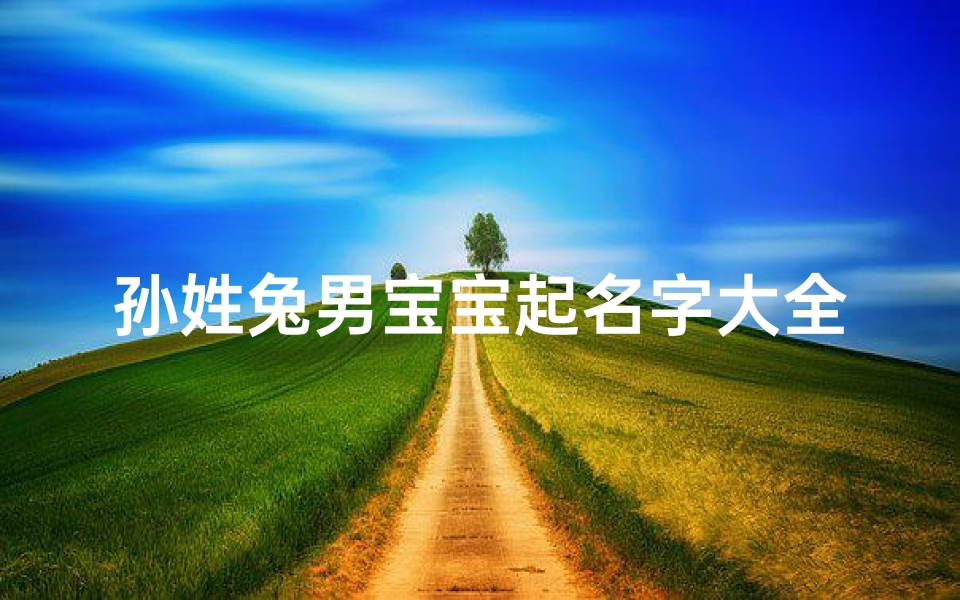 孙姓兔男宝宝起名字大全;姓孙属兔男孩起什么名好