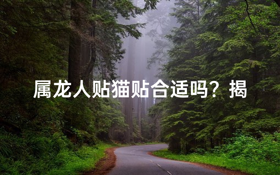 属龙人贴猫贴合适吗？揭秘生肖与宠物相性