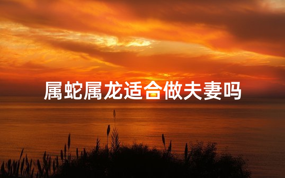 属蛇属龙适合做夫妻吗