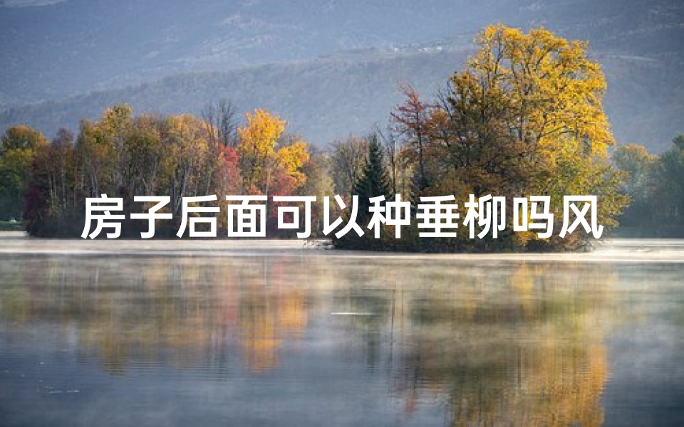 房子后面可以种垂柳吗风水-房子后种垂柳风水宜忌解析