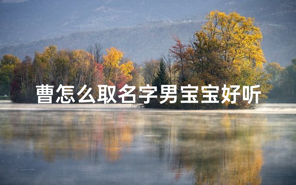 曹怎么取名字男宝宝好听两个字;《曹姓宝宝取名：如何取一个好听的名字》