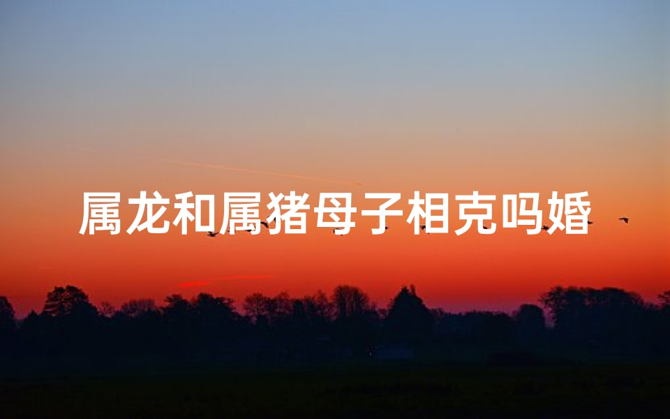 属龙和属猪母子相克吗婚姻如何,属龙属猪母子相克？婚姻前景如何？