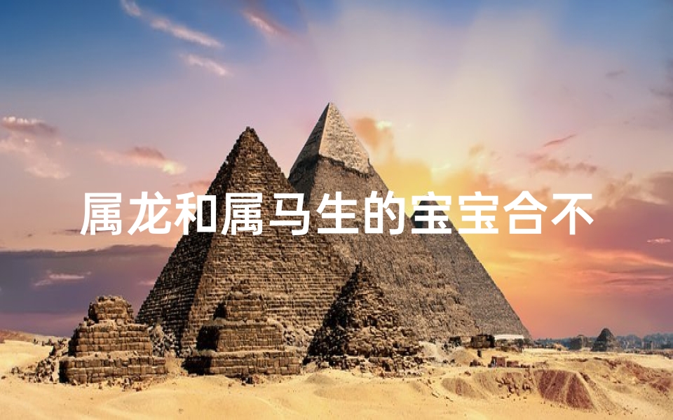 属龙和属马生的宝宝合不合—属龙和属马的孩子合不合