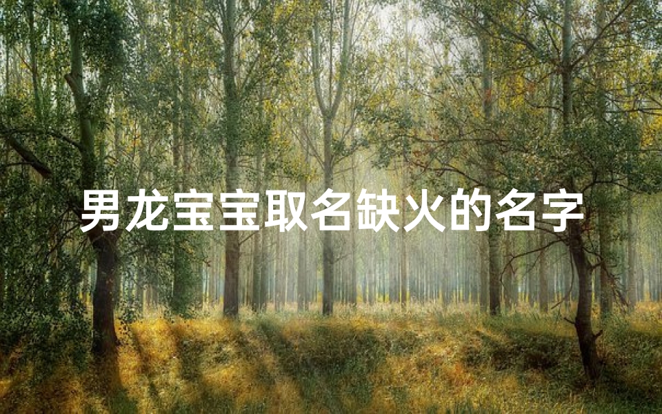 男龙宝宝取名缺火的名字姓张,张炽炎龙：火龙宝宝，炽热如炎，龙腾万里