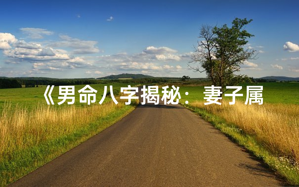 《男命八字揭秘：妻子属相匹配秘籍》