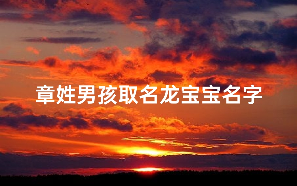章姓男孩取名龙宝宝名字