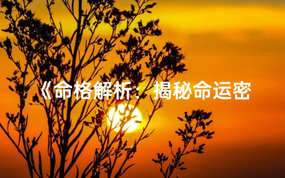 《命格解析：揭秘命运密码的详细分析之道》