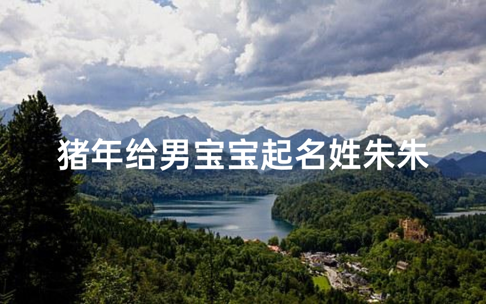 猪年给男宝宝起名姓朱朱(属猪女孩的小名)