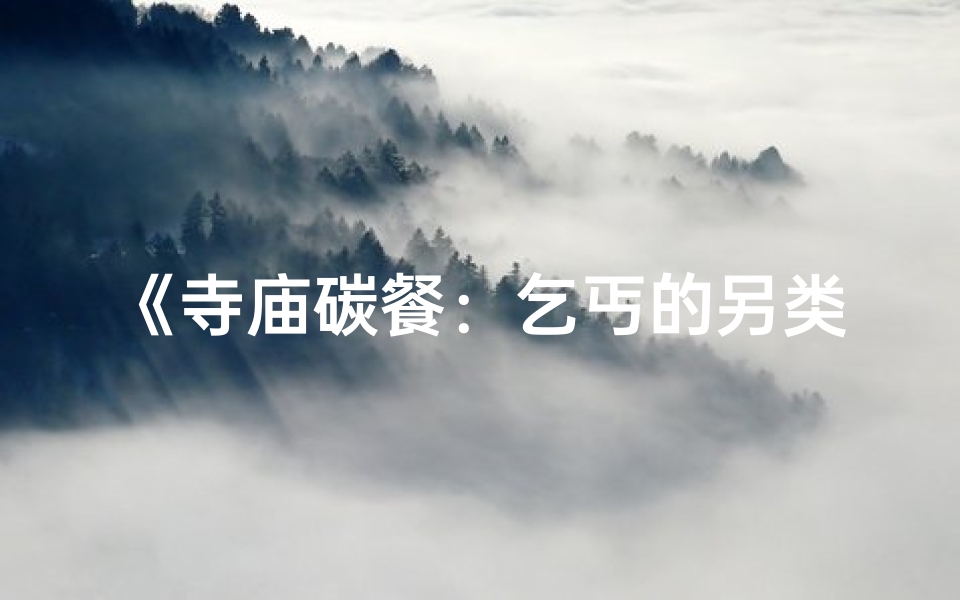 《寺庙碳餐：乞丐的另类美食之旅》