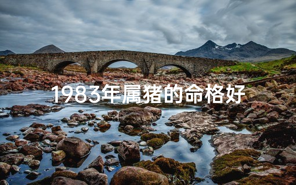 1983年属猪的命格好吗—1983年属猪命格揭秘：运势解析与人生指引
