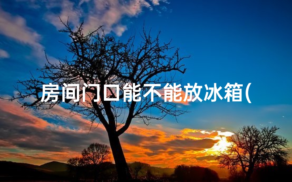 房间门口能不能放冰箱(门房放置物品风水佳否？揭秘家居风水奥秘)