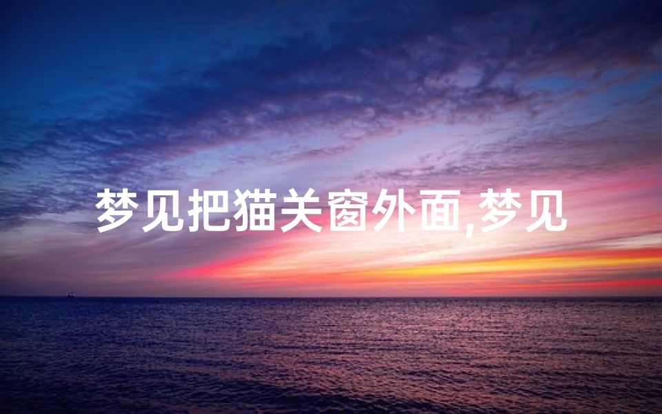 梦见把猫关窗外面,梦见把猫关窗外面什么意思