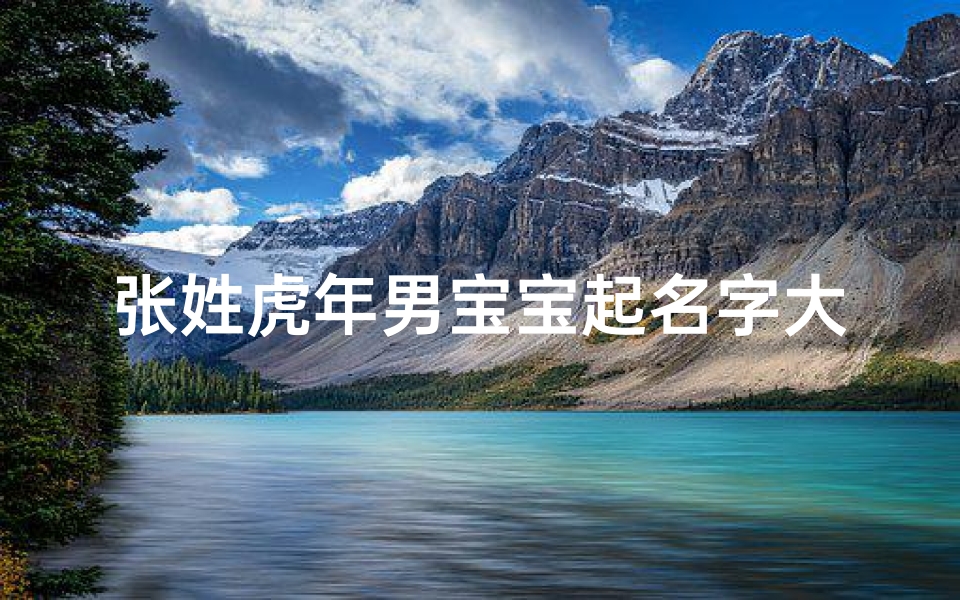 张姓虎年男宝宝起名字大全