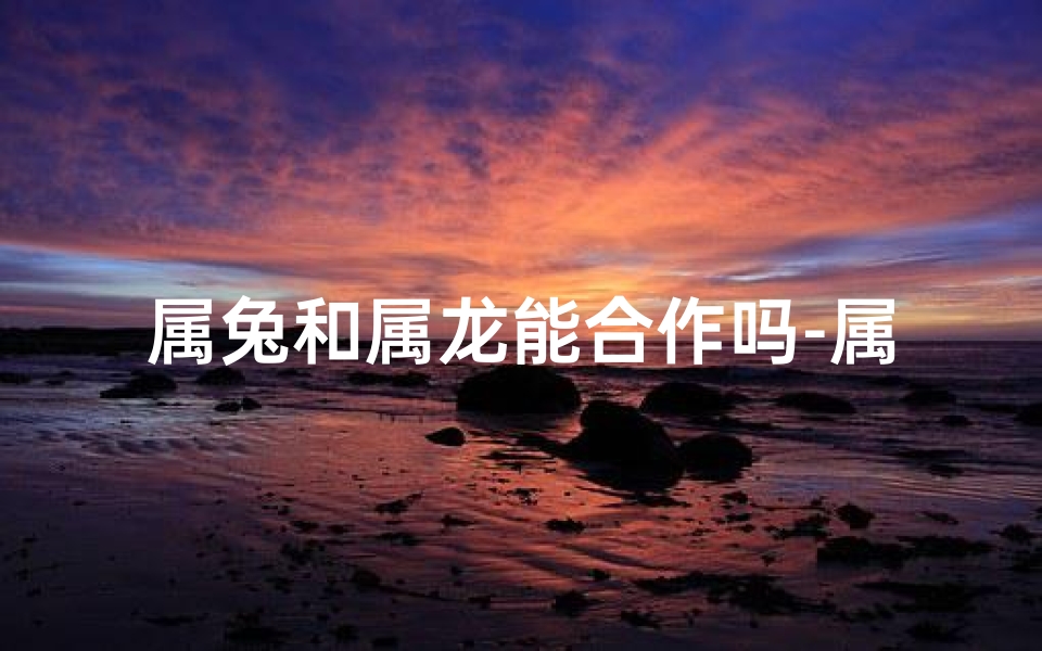 属兔和属龙能合作吗-属兔的能和属龙的能合伙做生意吗