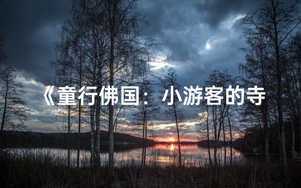 《童行佛国：小游客的寺庙奇遇记》