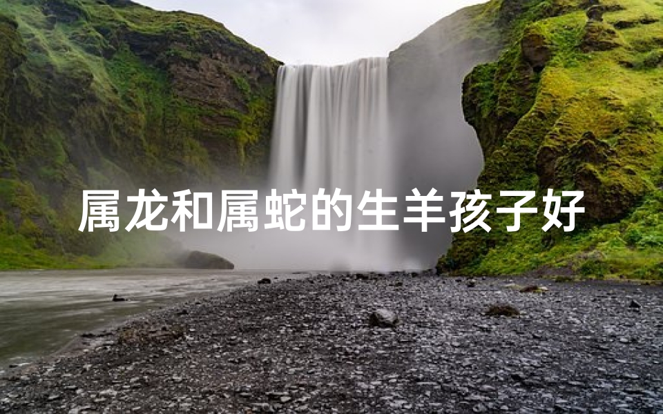 属龙和属蛇的生羊孩子好吗