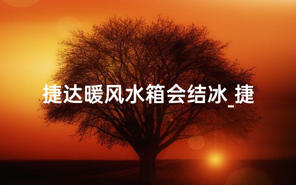 捷达暖风水箱会结冰_捷达暖风水箱结冰之谜：冬季取暖隐患大揭秘