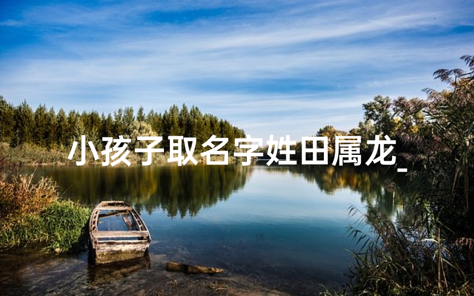 小孩子取名字姓田属龙_田龙宝宝：属龙小天使的可爱名字揭晓