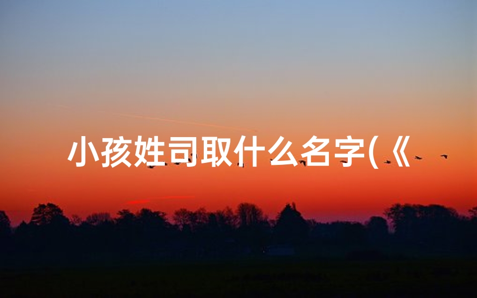 小孩姓司取什么名字(《司姓宝宝取名：创意无限，寓意美好》)