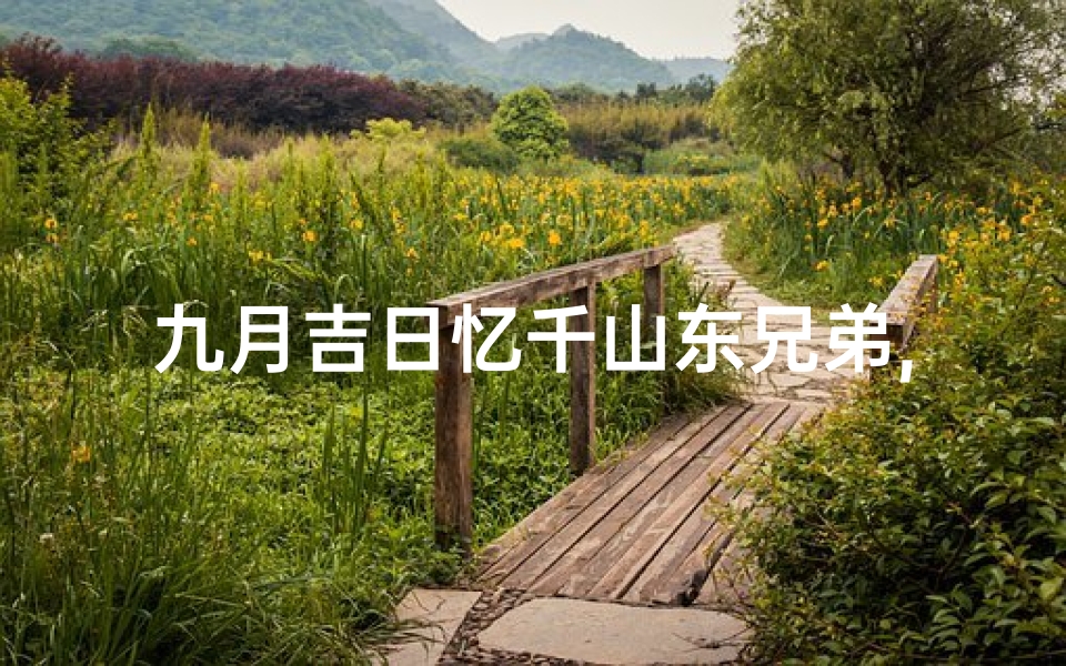 九月吉日忆千山东兄弟,放一首9月9日忆山东兄弟古诗