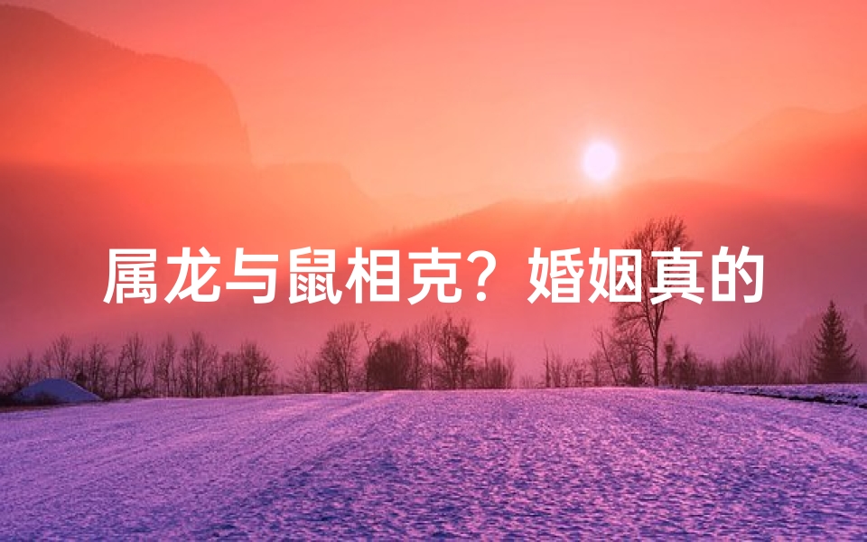 属龙与鼠相克？婚姻真的好吗？