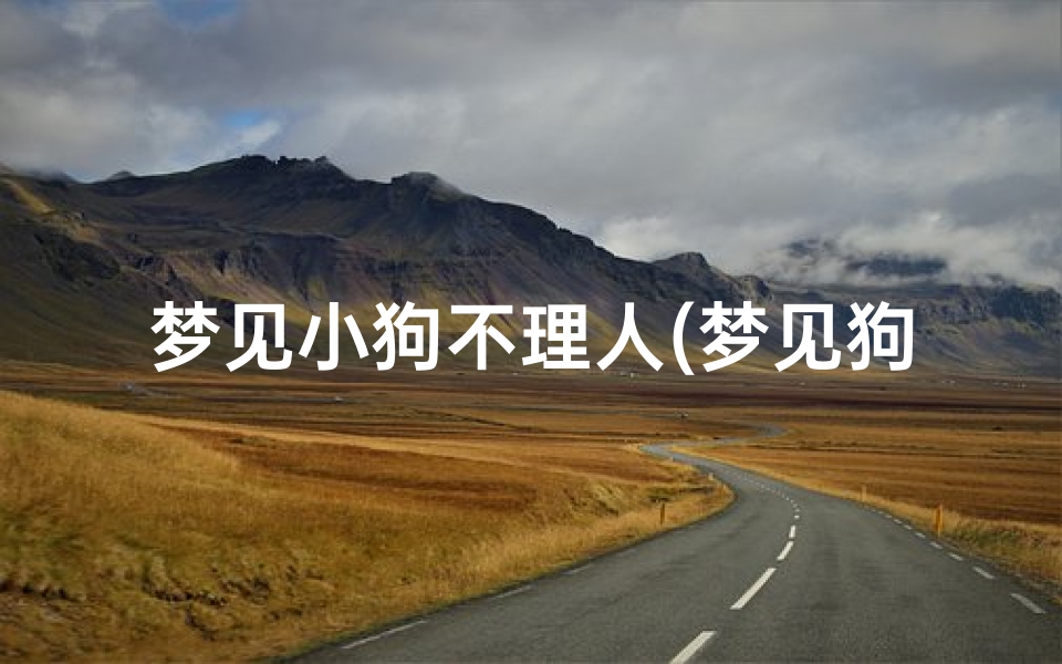 梦见小狗不理人(梦见狗不亲近我)
